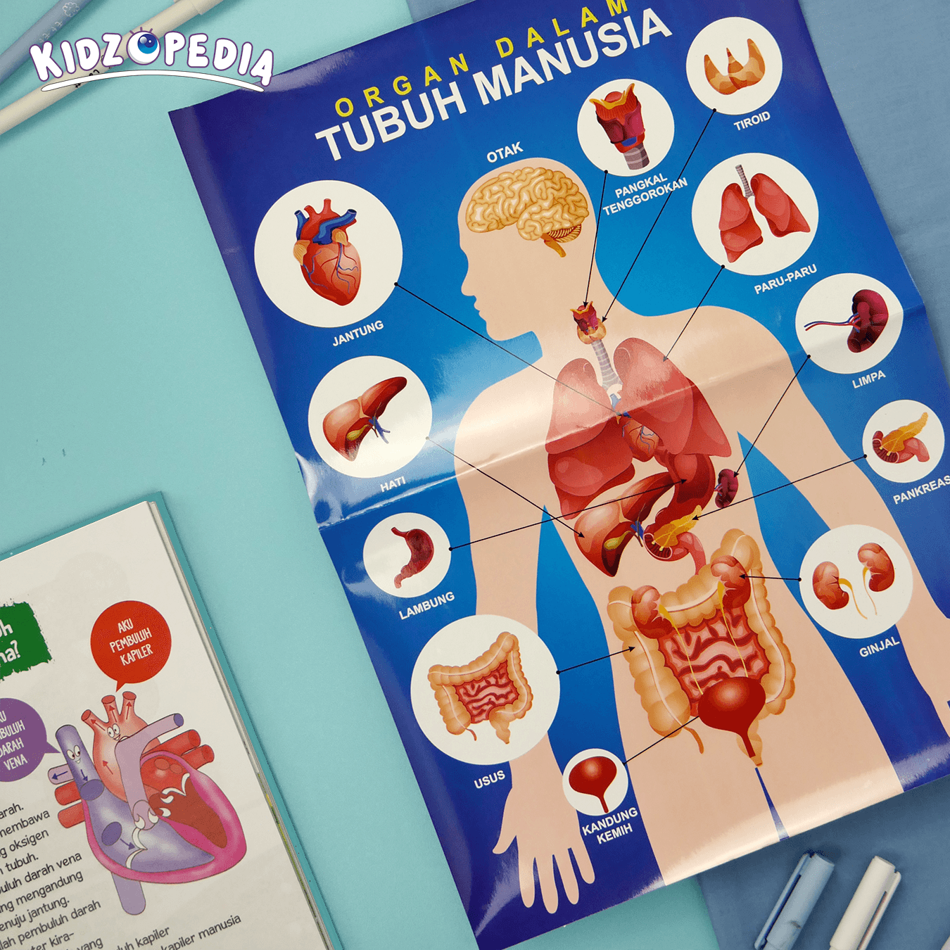 KIDZOPEDIA - Keajaiban Tubuh Manusia - foto 10