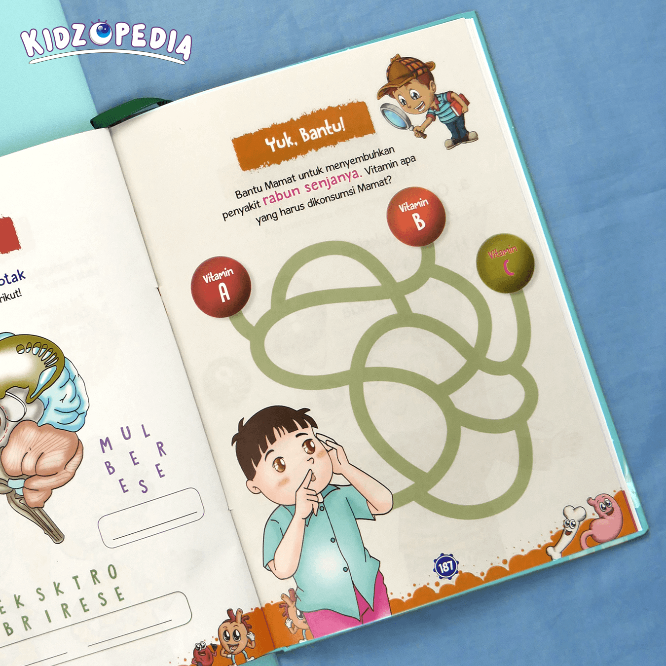KIDZOPEDIA - Keajaiban Tubuh Manusia - foto 22