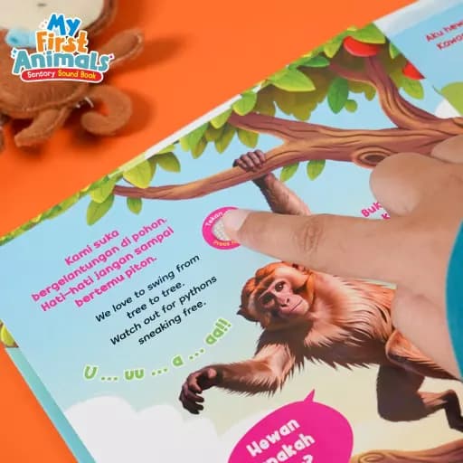 MY FIRST ANIMALS - SENSORY SOUND BOOK - foto 6